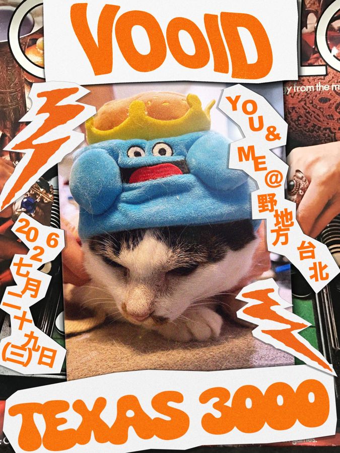 VOOID TEXAS 3000 海報